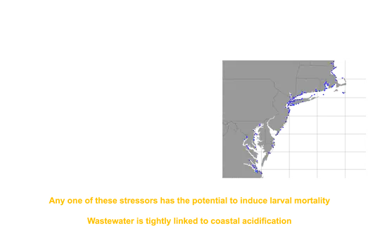 Synergistic effects of Coastal Acidification and Sewage Effluent:  A CASE study