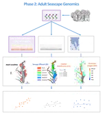 Coastal Stressors across urbanized estuaries