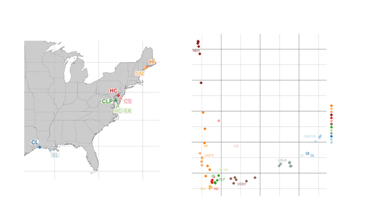 Eastern oyster population genomics